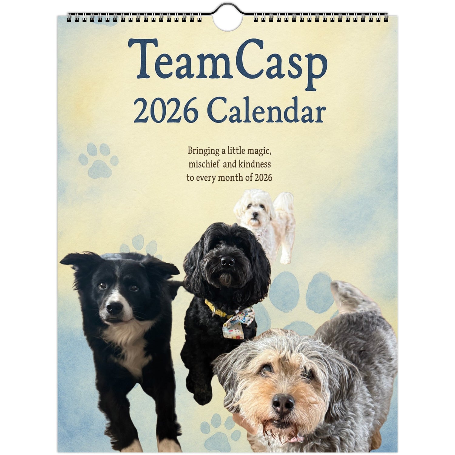 c3f8318b-0ad7-4571-84df-4b22bbc1e5c6